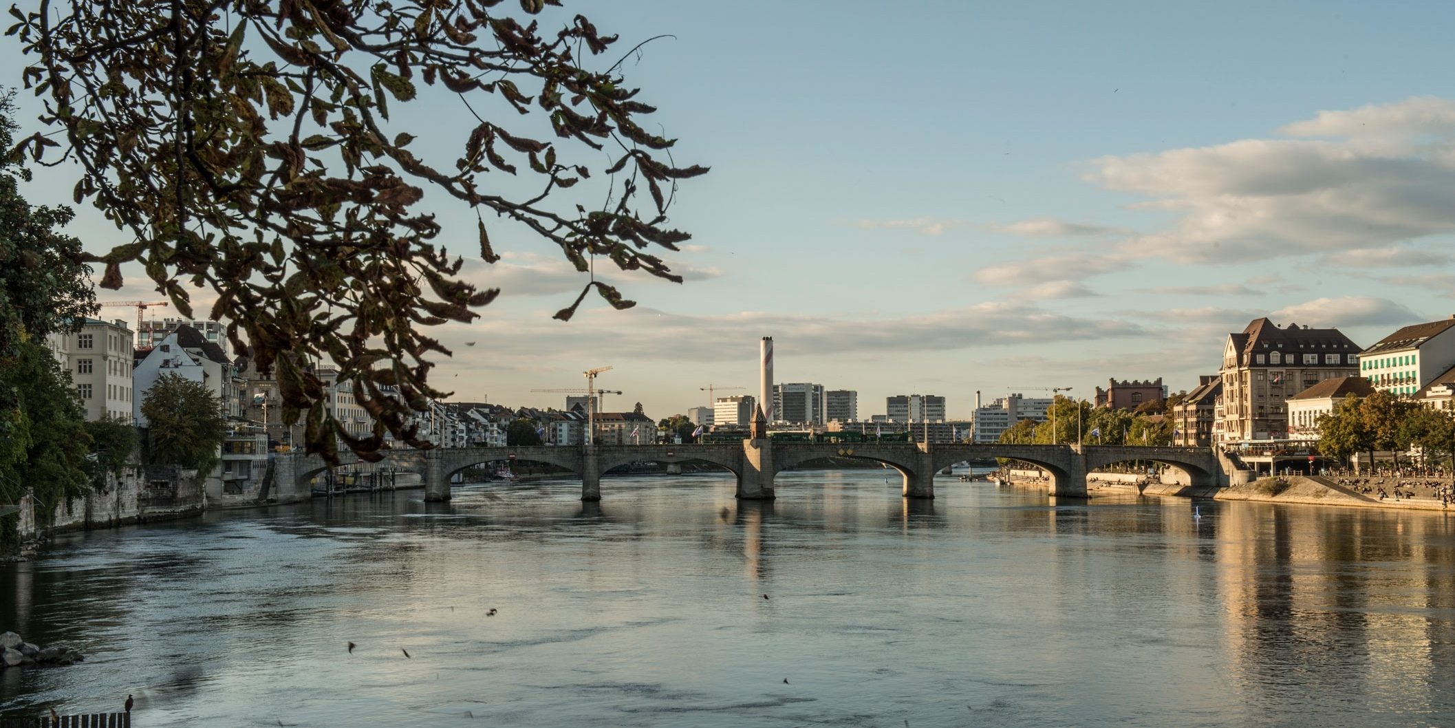 Lage Headerbilder (Areal)